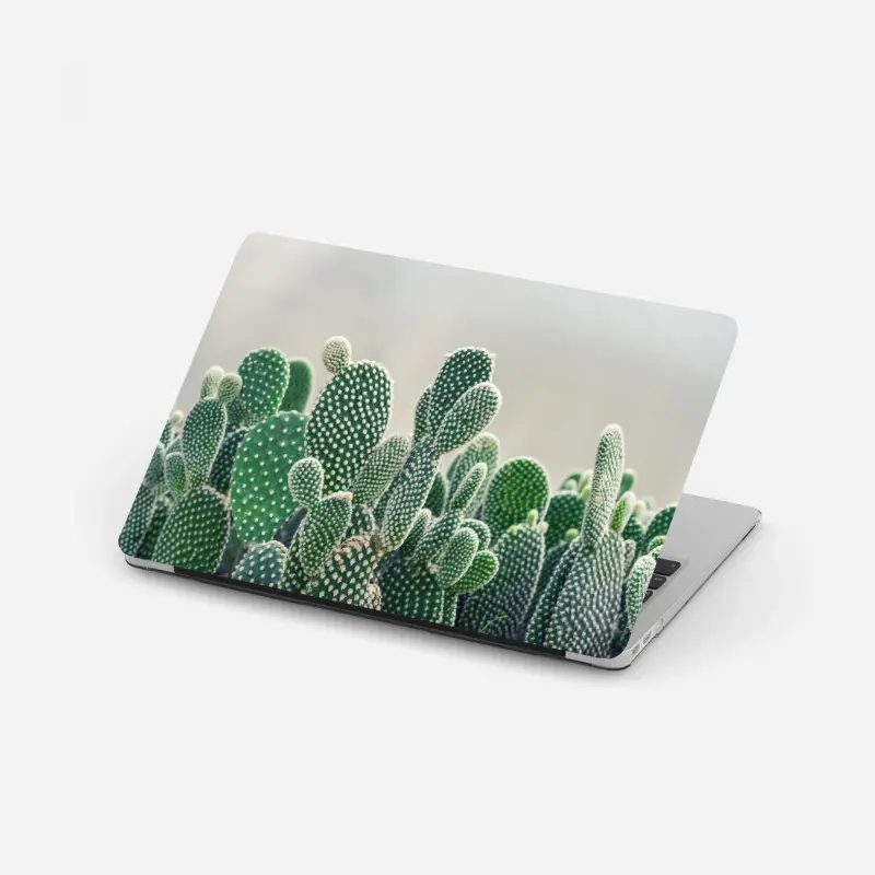 Laptop sticker opuntia cactus close-up