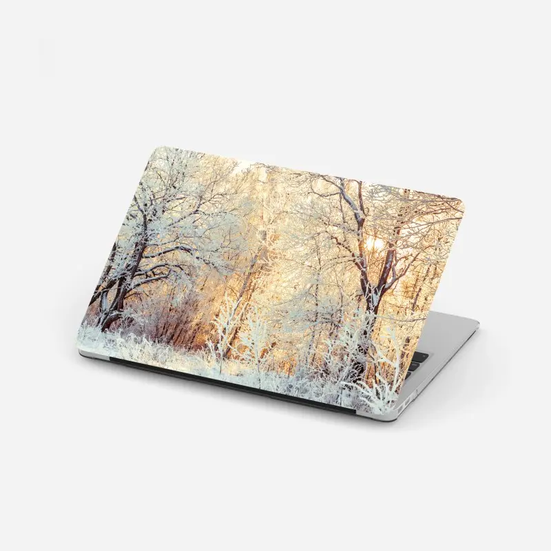 Laptop sticker winter sunlight in snowy forest