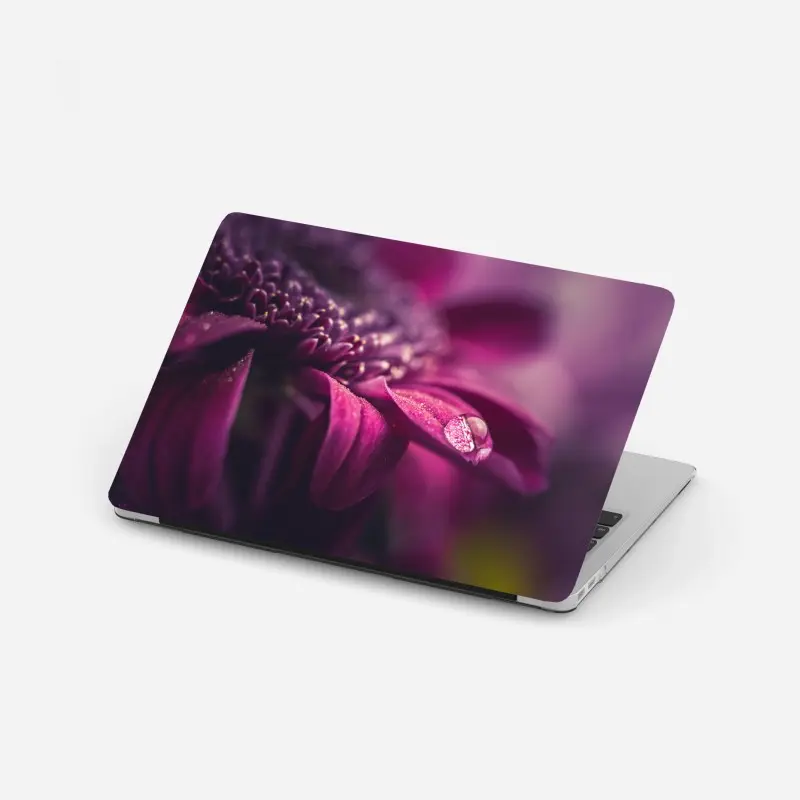 Laptop sticker purple macro blossom with dewdrop
