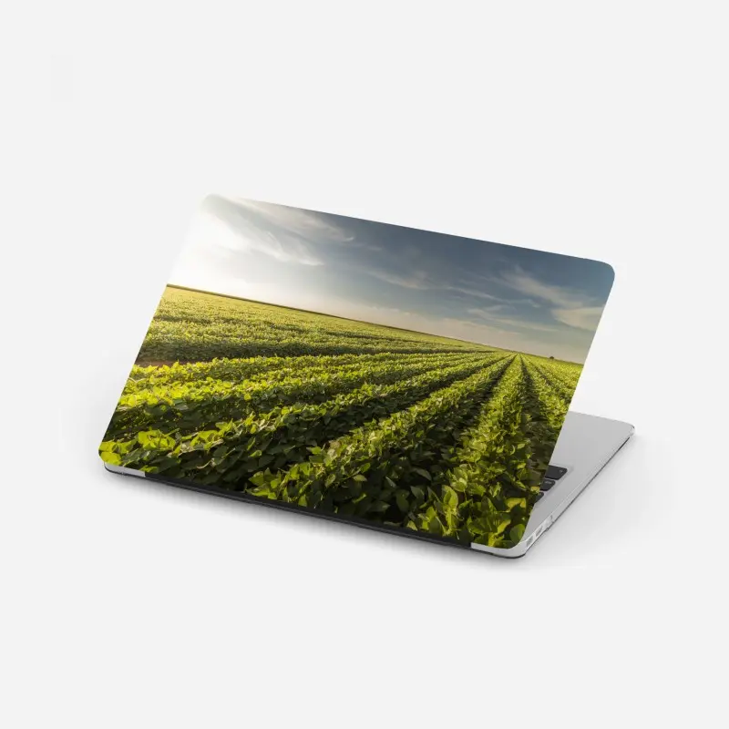 Laptop sticker sunlit soybean field at sunset
