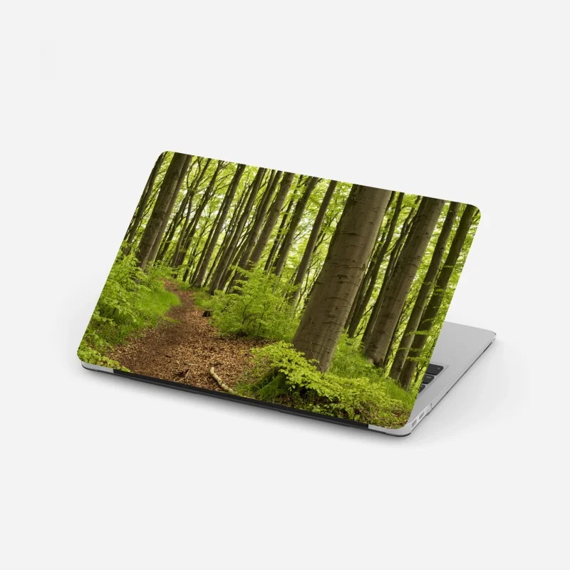 Laptop sticker tranquil green forest trail