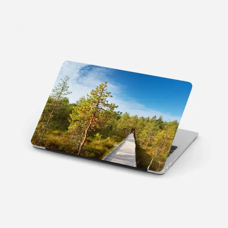 Laptop sticker sunny pine forest boardwalk