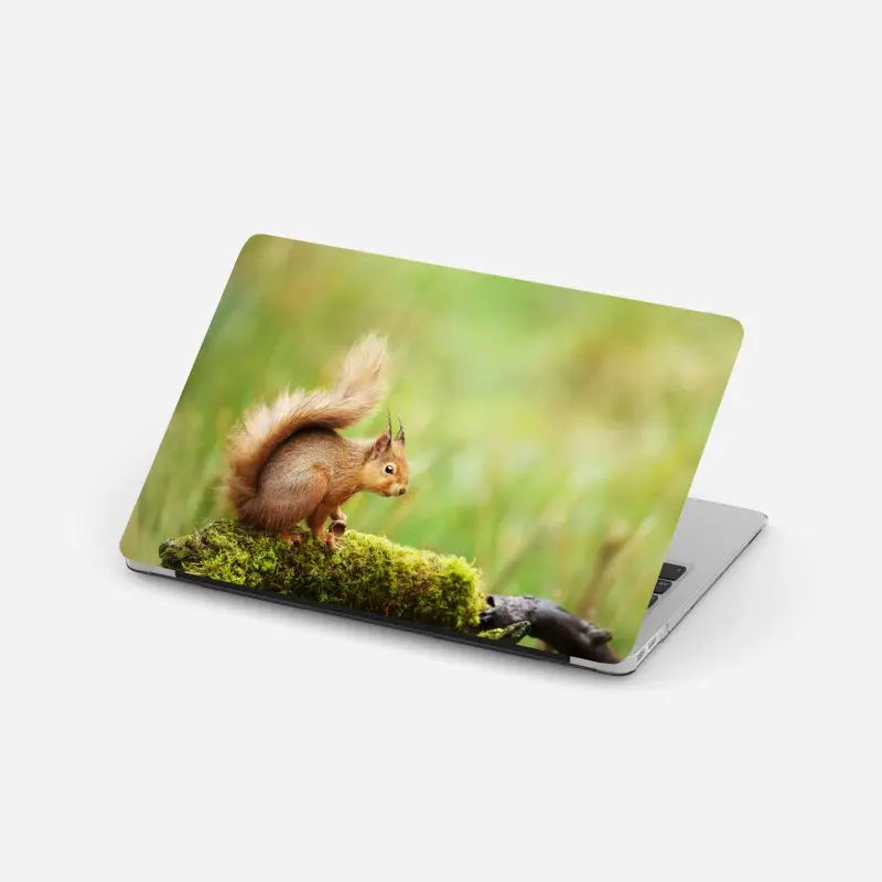 Laptop sticker curious red squirrel on mossy log