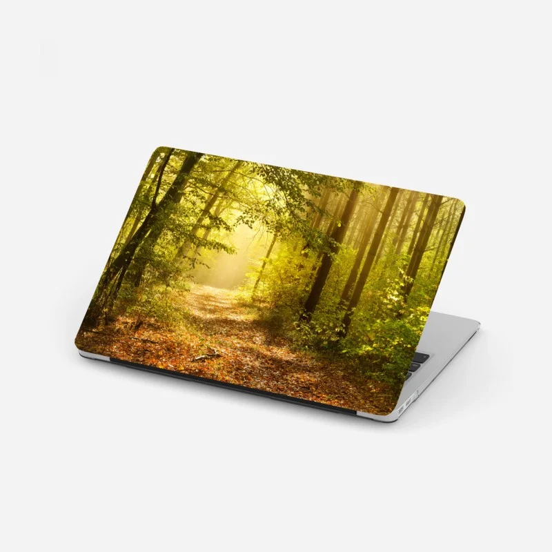 Laptop sticker sunlit forest path in autumn