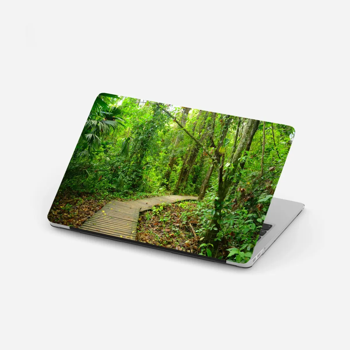 Laptop sticker tropical boardwalk through lush forest • Wallissimo® Laptop sticker tropical boardwalk through lush forest • Wallissimo®