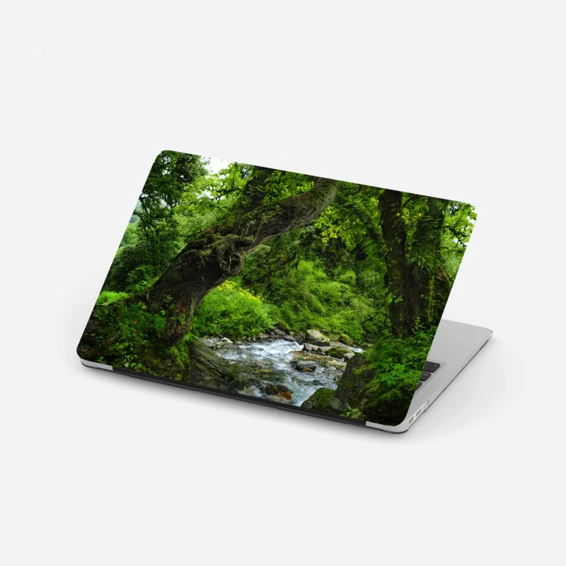 Laptop sticker mossy forest stream panorama