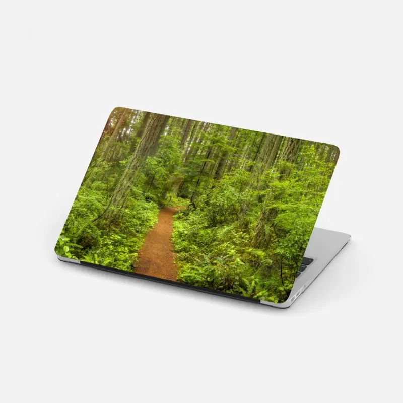Laptop sticker serene forest trail panorama