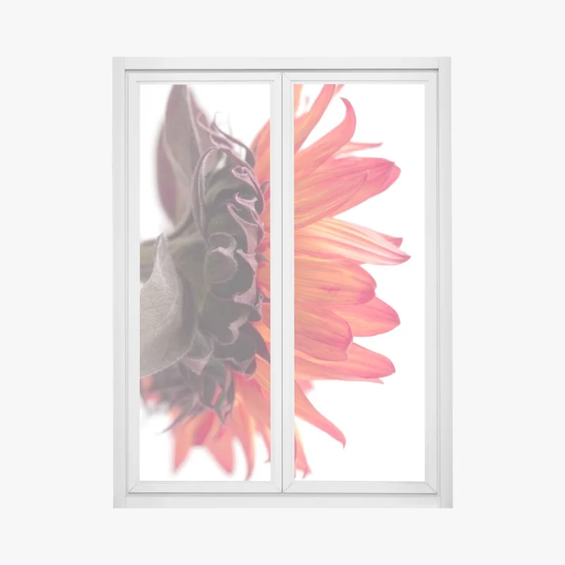 Window decal vibrant orange sunflower close-up