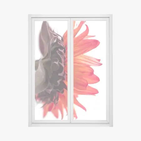 Window decal vibrant orange sunflower close-up • Wallissimo®