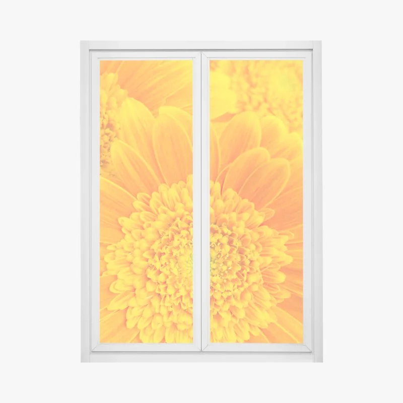 Window decal vibrant orange gerbera bloom close-up