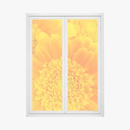 Window decal vibrant orange gerbera bloom close-up • Wallissimo®