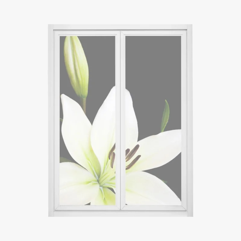 Window decal white lily bloom on black background