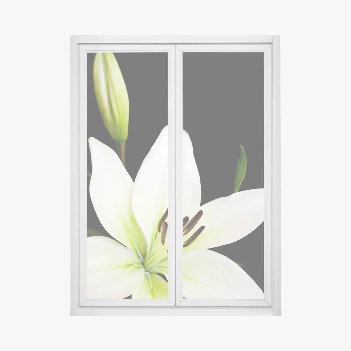 Window decal white lily bloom on black background • Wallissimo® Window decal white lily bloom on black background • Wallissimo®