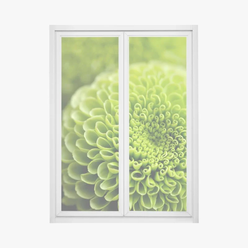 Window decal vibrant green floral spiral macro
