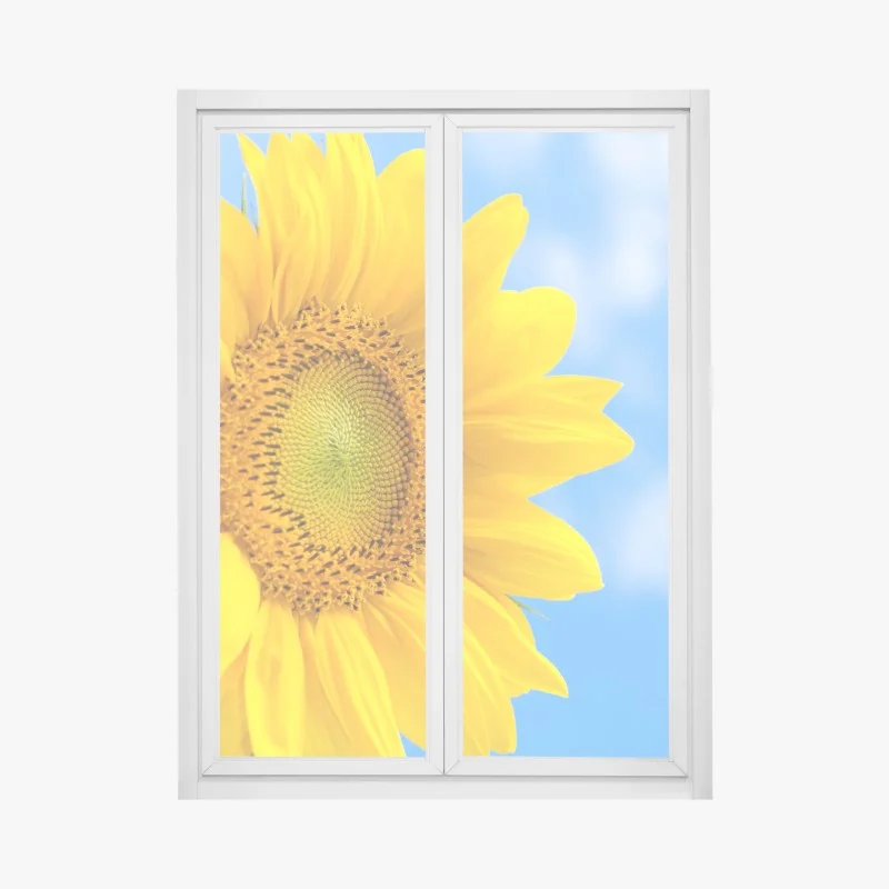 Window decal bright sunflower close-up on blue sky