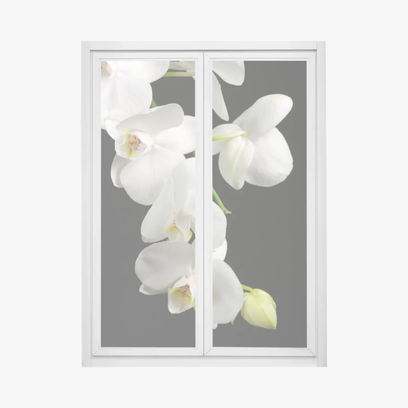 Window decal white orchid branch on black background