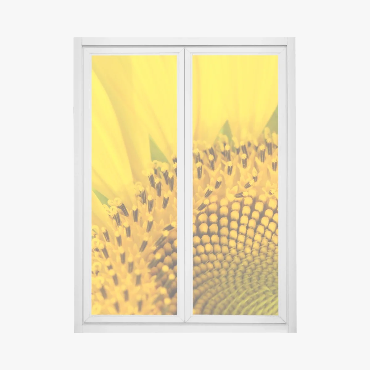 Window decal golden sunflower close-up • Wallissimo® Window decal golden sunflower close-up • Wallissimo®