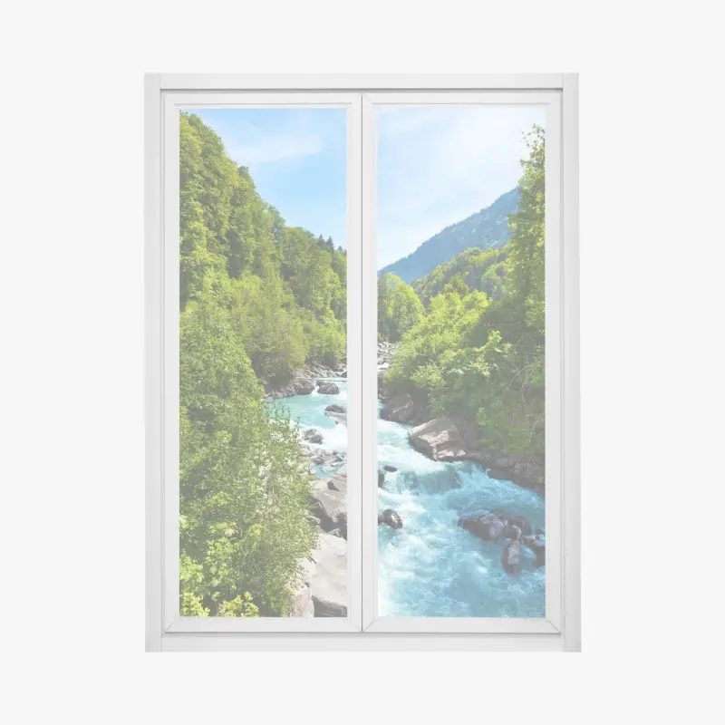 Window decal • Wallissimo®