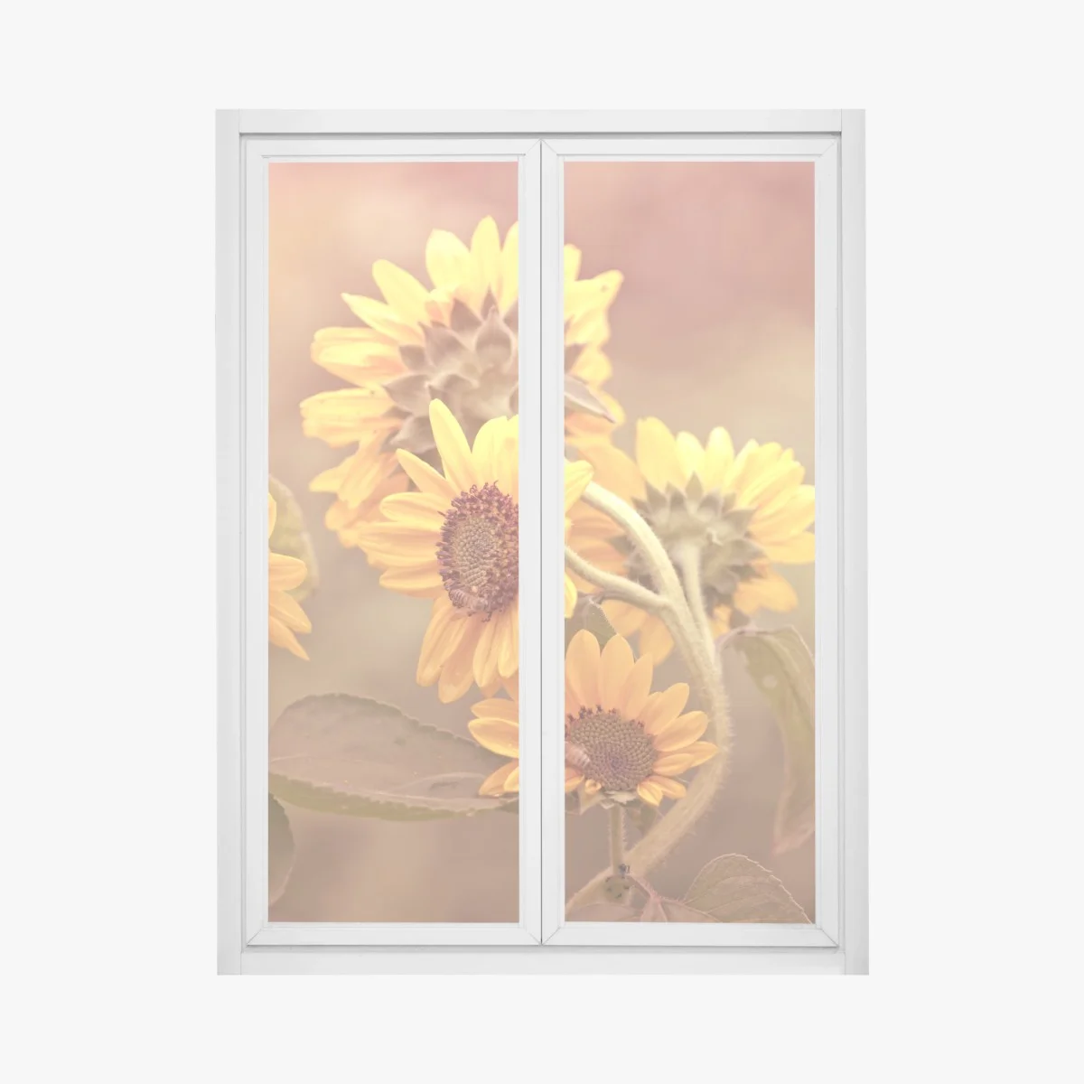 Window decal vintage sunflower cluster in warm light ⁕ Wallissimo® Window decal vintage sunflower cluster in warm light ⁕ Wallissimo®