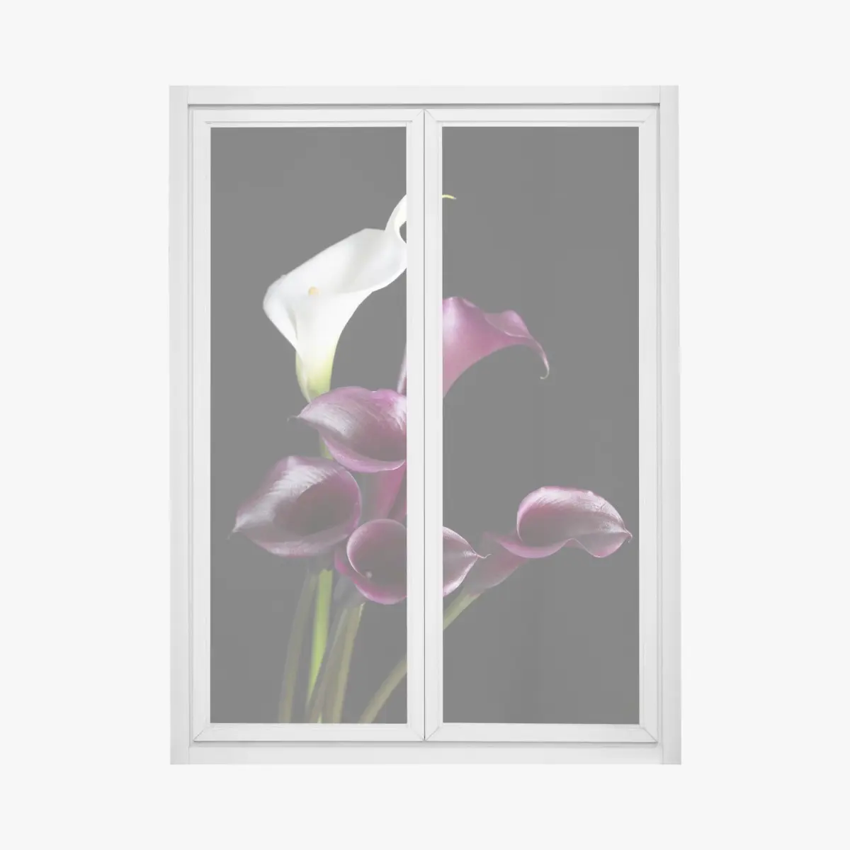 Window decal elegant purple and white calla lilies ⁕ Wallissimo® Window decal elegant purple and white calla lilies ⁕ Wallissimo®
