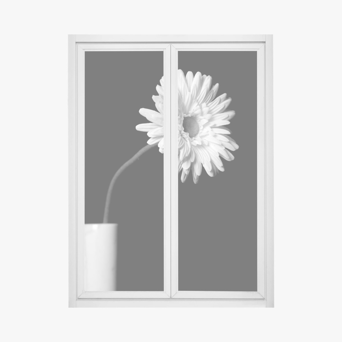 Window decal white gerbera on black • Wallissimo® Window decal white gerbera on black • Wallissimo®