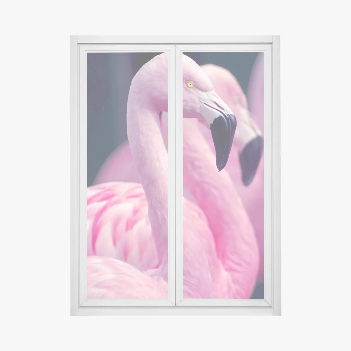 Window decal graceful pink flamingo portrait • Wallissimo® Window decal graceful pink flamingo portrait • Wallissimo®