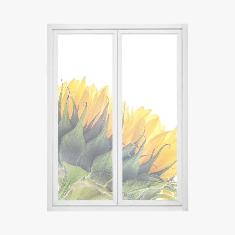Window decal sunflower corner on white background