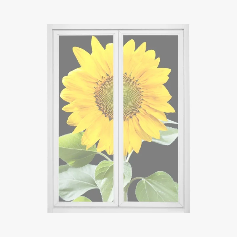 Window decal vibrant sunflower on black background