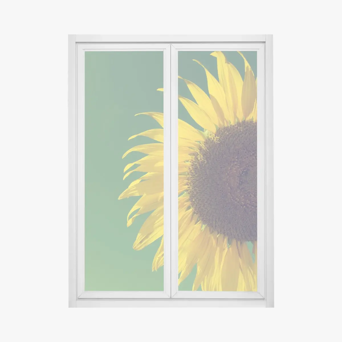 Window decal radiant sunflower against vintage sky • Wallissimo® Window decal radiant sunflower against vintage sky • Wallissimo®