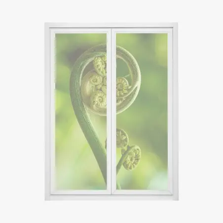 Window decal unfurling fern fiddlehead macro • Wallissimo®