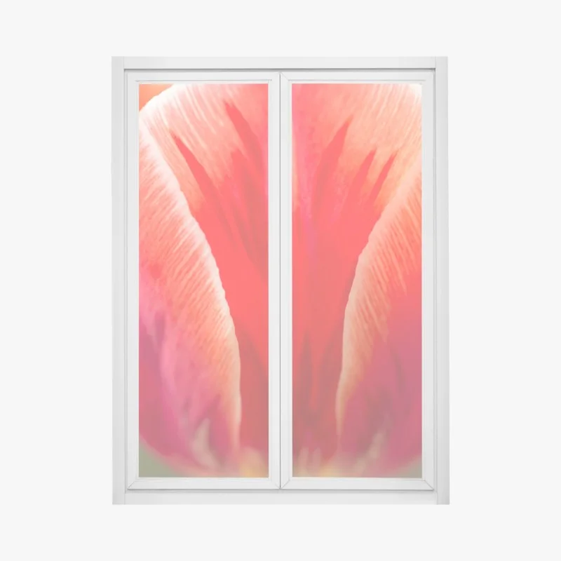 Window decal vibrant red tulip close-up