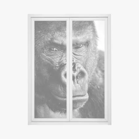 Window decal intense gorilla portrait in black and white • Wallissimo®