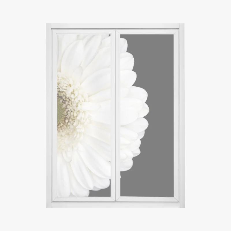 Window decal white gerbera on black minimalist close-up