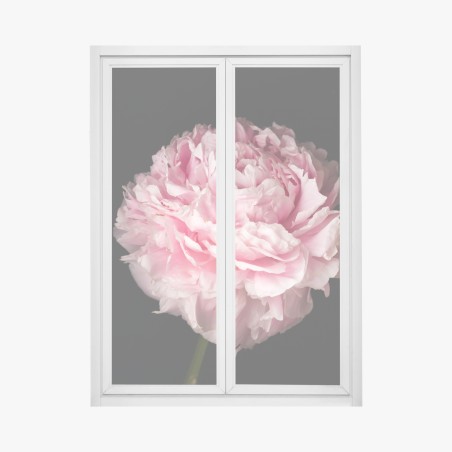 Window decal soft pink peony close-up • Wallissimo®