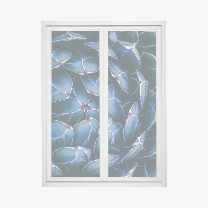 Window decal geometric turquoise succulent close-up