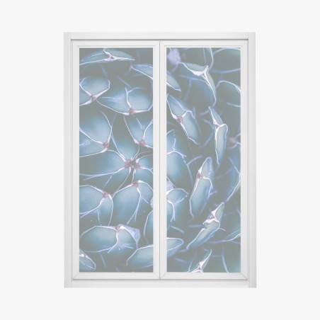 Window decal geometric turquoise succulent close-up • Wallissimo®