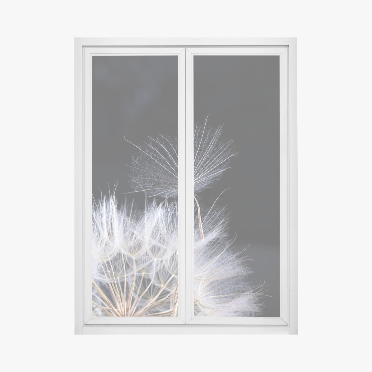 Window decal delicate dandelion seed on black • Wallissimo® Window decal delicate dandelion seed on black • Wallissimo®