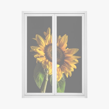 Window decal golden sunflower close-up • Wallissimo®