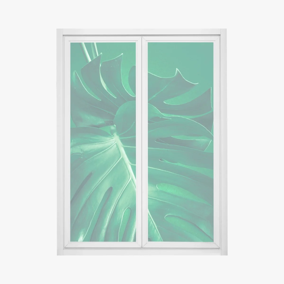 Window decal lush monstera leaf close-up ⁕ Wallissimo® Window decal lush monstera leaf close-up ⁕ Wallissimo®