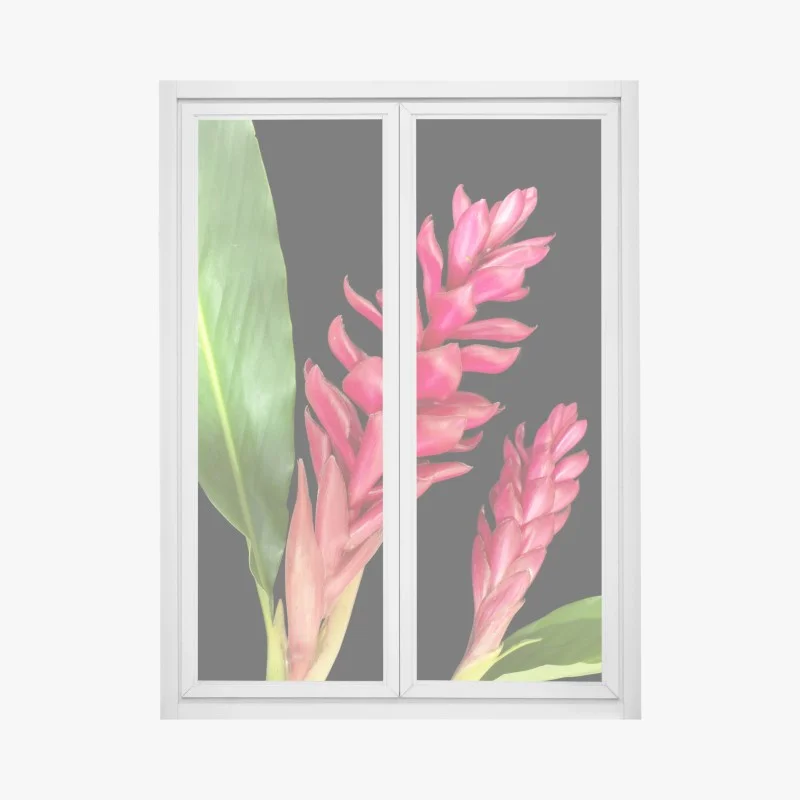 Window decal vibrant torch ginger bloom on black