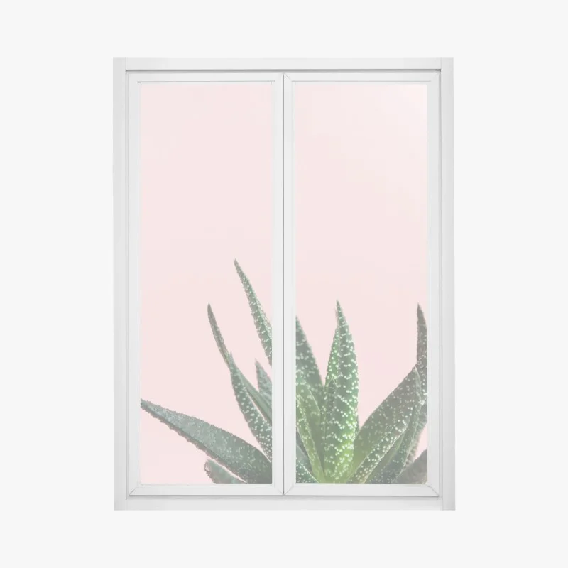 Window decal green aloe on pink background