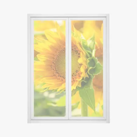 Window decal sunflower bloom close-up • Wallissimo®