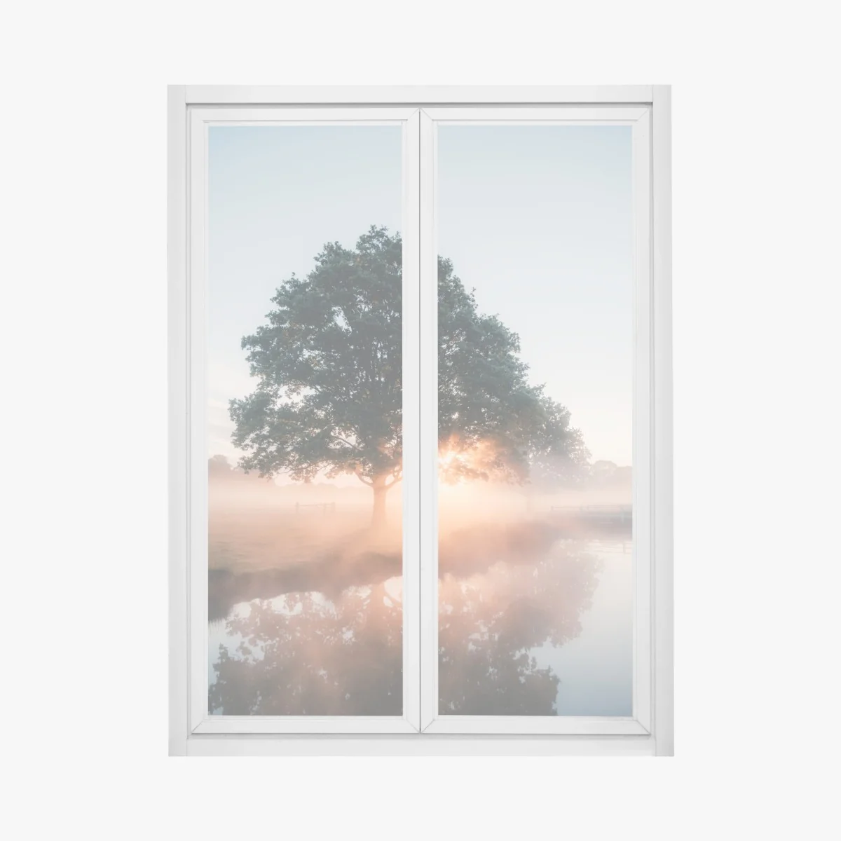 Window decal misty sunrise by the oak tree • Wallissimo® Window decal misty sunrise by the oak tree • Wallissimo®