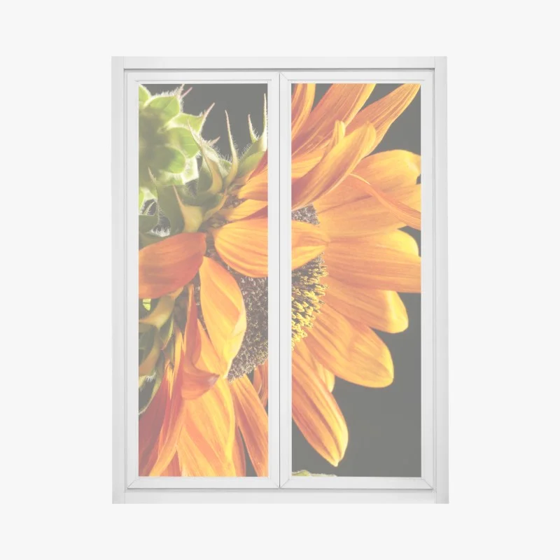 Window decal vibrant orange sunflower close-up