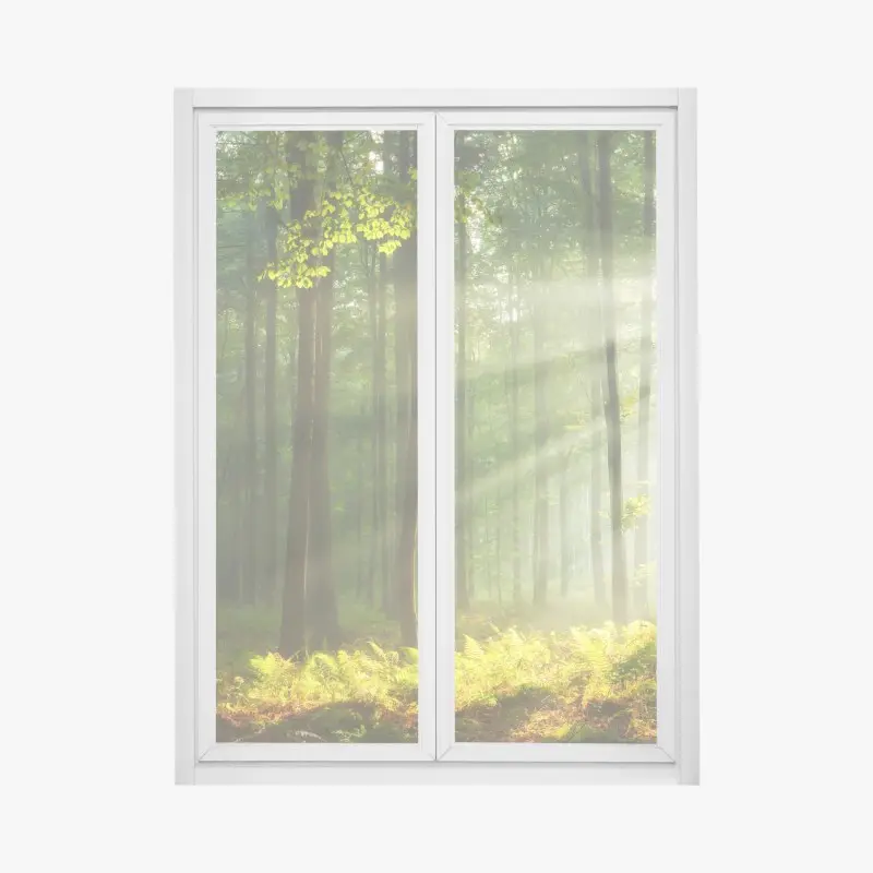 Window decal sunlit morning in the forest