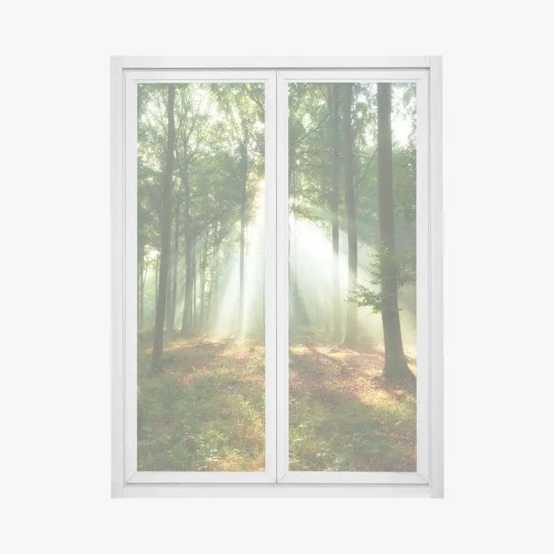Window decal morning light in the forest