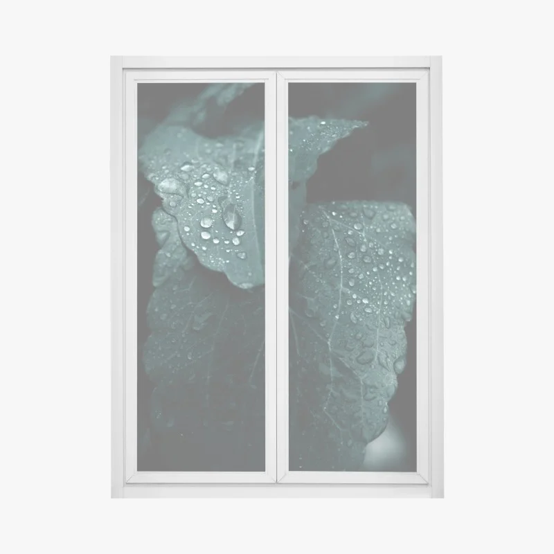 Window decal teal dewdrops on leaves