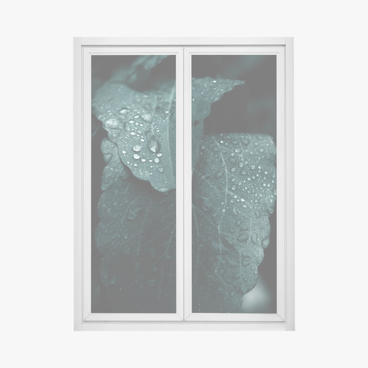 Window decal teal dewdrops on leaves • Wallissimo®