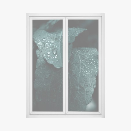 Window decal teal dewdrops on leaves • Wallissimo®