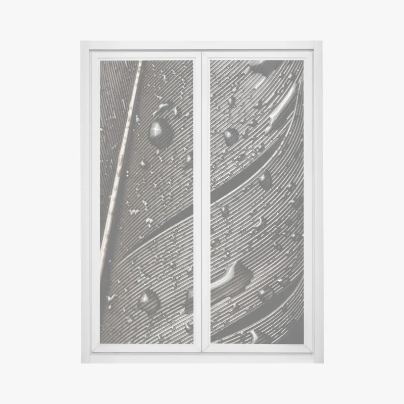 Window decal monochrome feather with water droplets